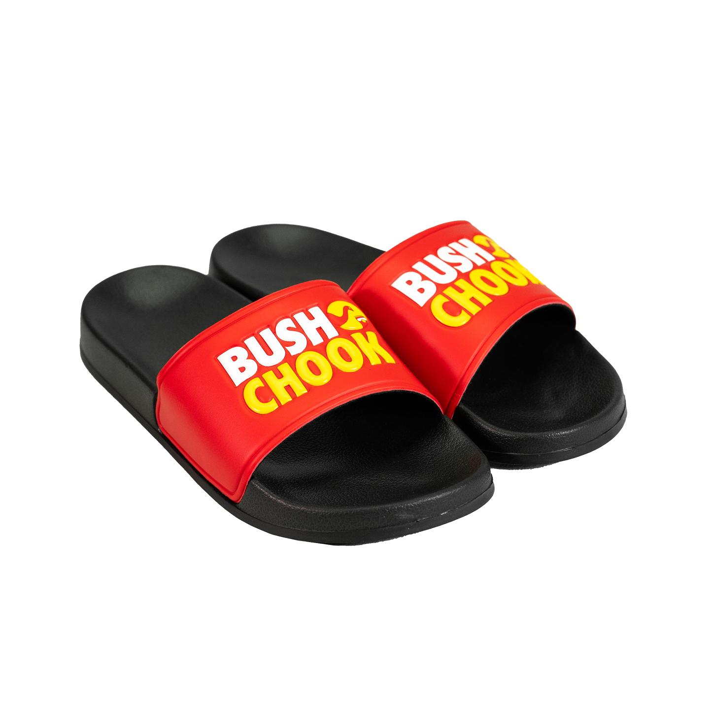 Chook Logo Slides
